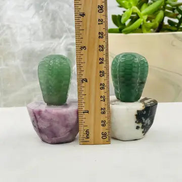 Cactus Crystals