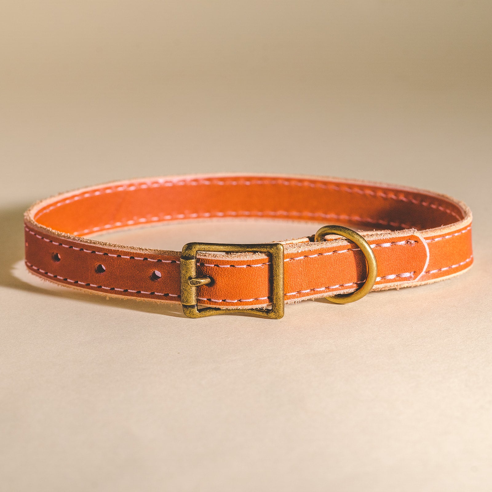 Leather Dog Collars