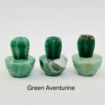 Cactus Crystals