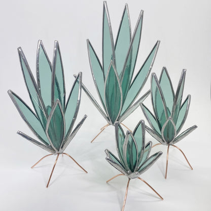 Glass Snake Plant