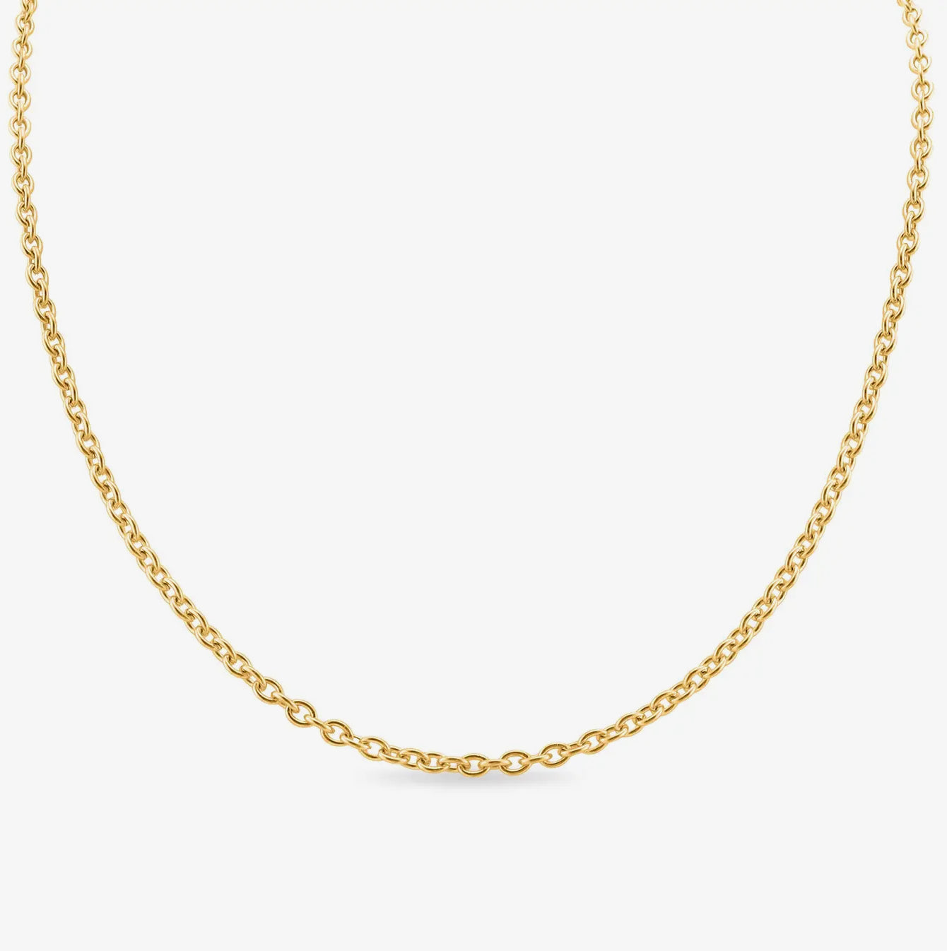 18K Gold PVD Stainless Steel Loop Cable Chain Necklace