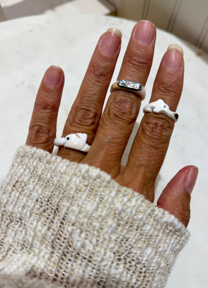 Shell carved rings