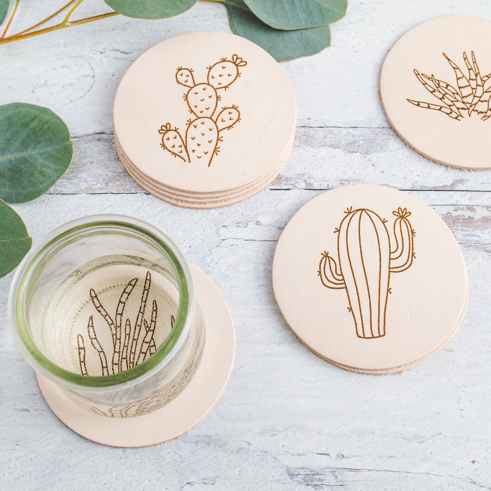 Succulent Round Leather Coaster Set